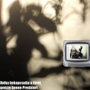 Dzsungelbéka tévét néz