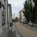 Dzsungelbéka Miskolcon I.